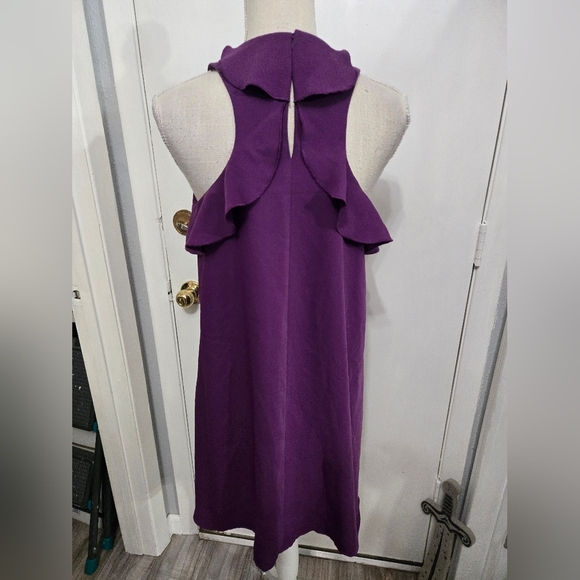 LOFT Shift Dress Sz Small Purple Sleeveless Ruffle Back - Picture 3 of 8
